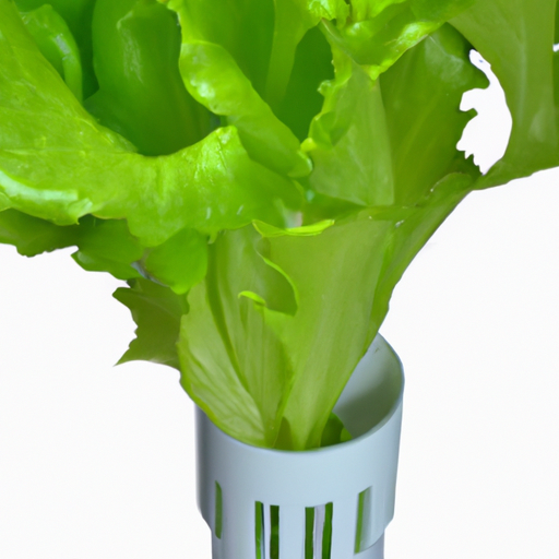 Can I Grow Hydroponic Plants Outdoors? Can I Grow Hydroponic Plants Outdoors?