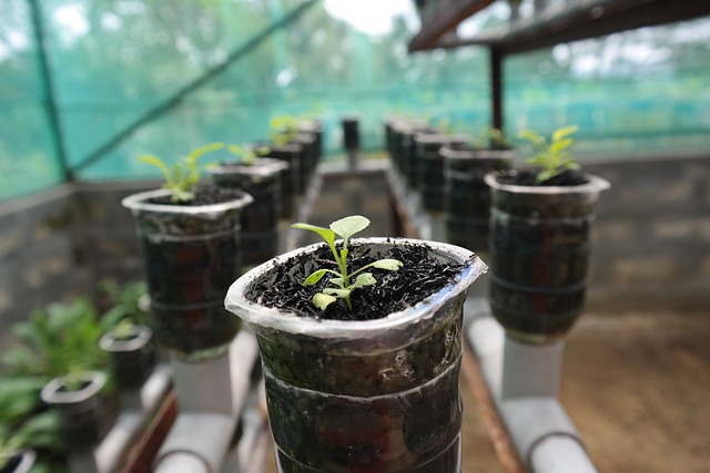 What Are The Different Types Of Hydroponic Systems? What Are The Different Types Of Hydroponic Systems?