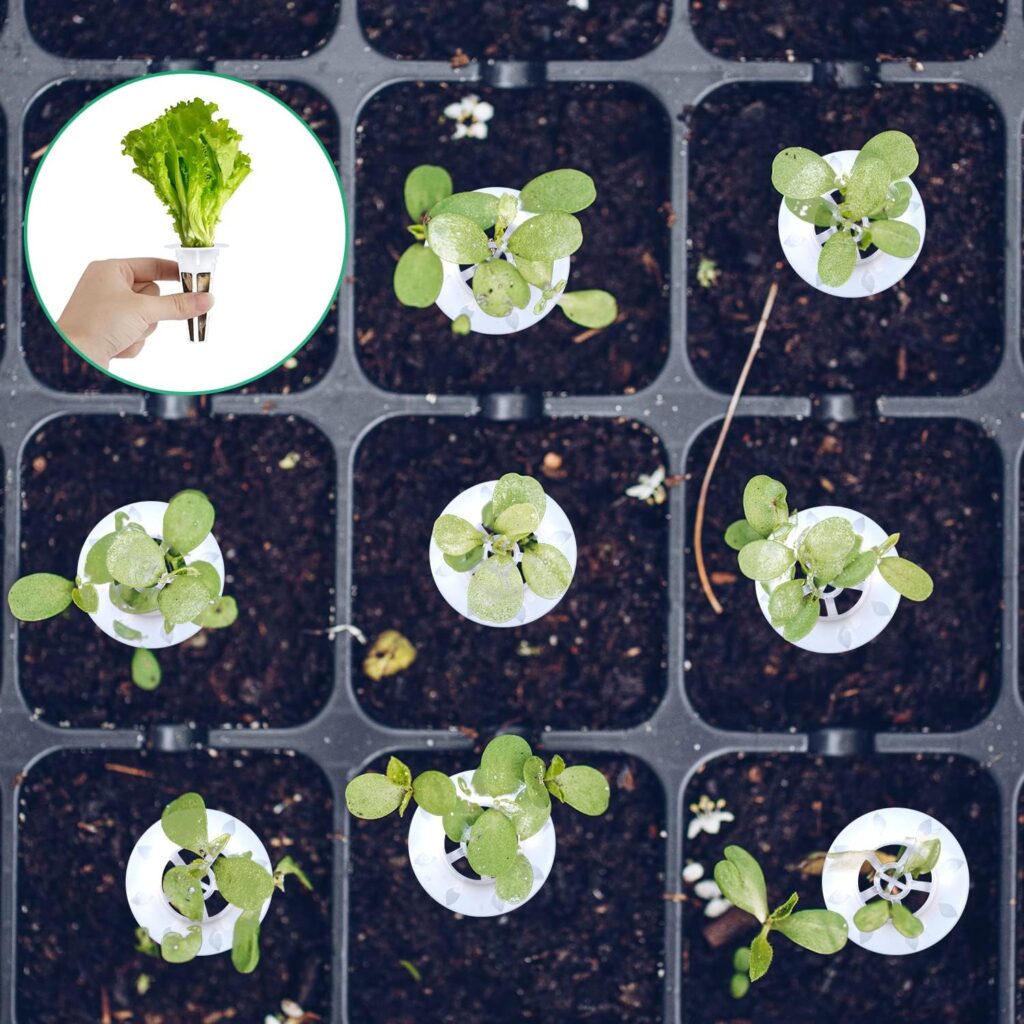 101pcs Seed Pod Kit for Garden, Grow Anything Kit Hydroponic Seed Kit Hydroponics Garden Accessories with 20 Grow Baskets, 20 Transparent Insulation Lids, 40 Grow Sponges, 20 Plant Labels 101pcs Seed Pod Kit for Garden, Grow Anything Kit Hydroponic Seed Kit Hydroponics Garden Accessories with 20 Grow Baskets, 20 Transparent Insulation Lids, 40 Grow Sponges, 20 Plant Labels