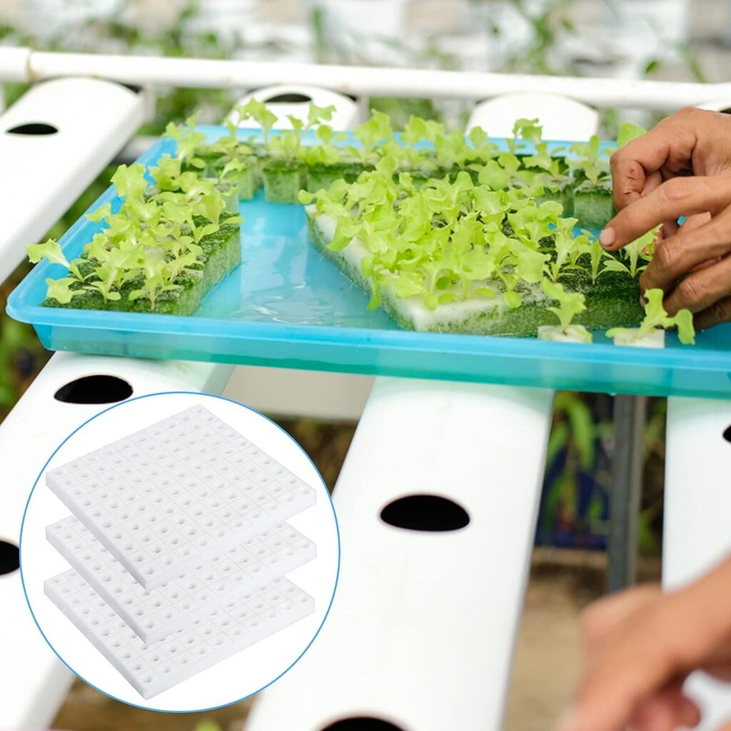 400 Pcs Hydroponic Sponge Planting Tool Square Seedling Sponges Greenhouse Hydroponic Sponge Hydroponic Vegetable Planting Sponge for Small Bud Growth 400 Pcs Hydroponic Sponge Planting Tool Square Seedling Sponges Greenhouse Hydroponic Sponge Hydroponic Vegetable Planting Sponge for Small Bud Growth