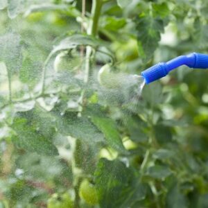 How Often Should I Water My Hydroponic Plants