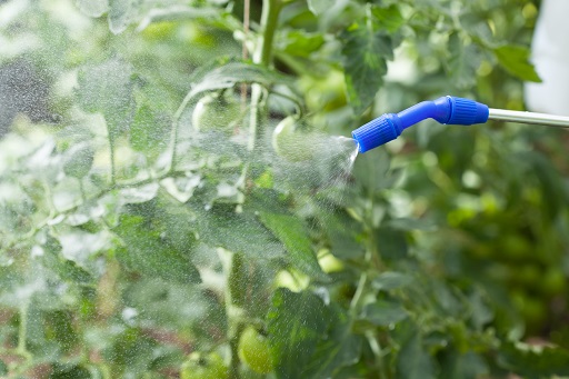 How Often Should I Water My Hydroponic Plants