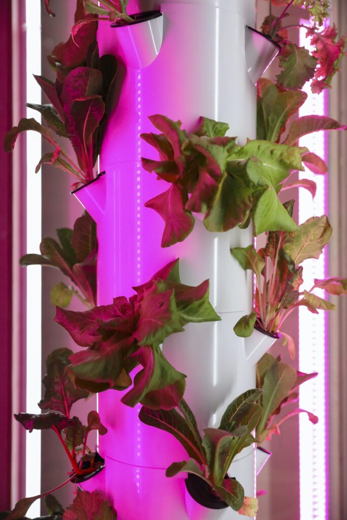 How Do I Start A Hydroponic Garden For Beginners How Do I Start A Hydroponic Garden For Beginners