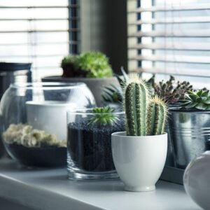 how-to-build-a-hydroponic-garden-1