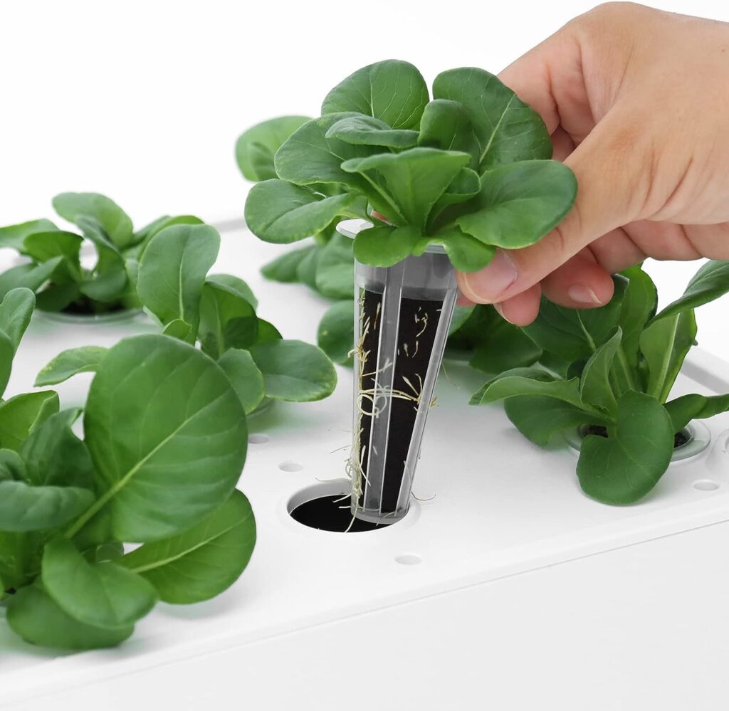 iDOO 60 Pcs Replacement Grow Sponges, Seed Starter Pods Kits Hydroponic Sponges for Hydroponic Growing System ID-IG301 ID-IG302 ID-IG303 I-D-01 iDOO 60 Pcs Replacement Grow Sponges, Seed Starter Pods Kits Hydroponic Sponges for Hydroponic Growing System ID-IG301 ID-IG302 ID-IG303 I-D-01