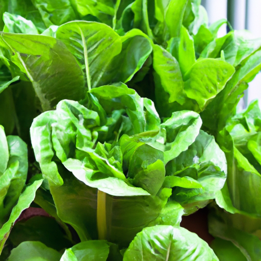 Is Hydroponic Gardening Healthy