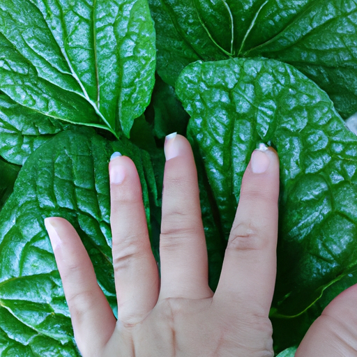 What Is Hydroponic Gardening Systems