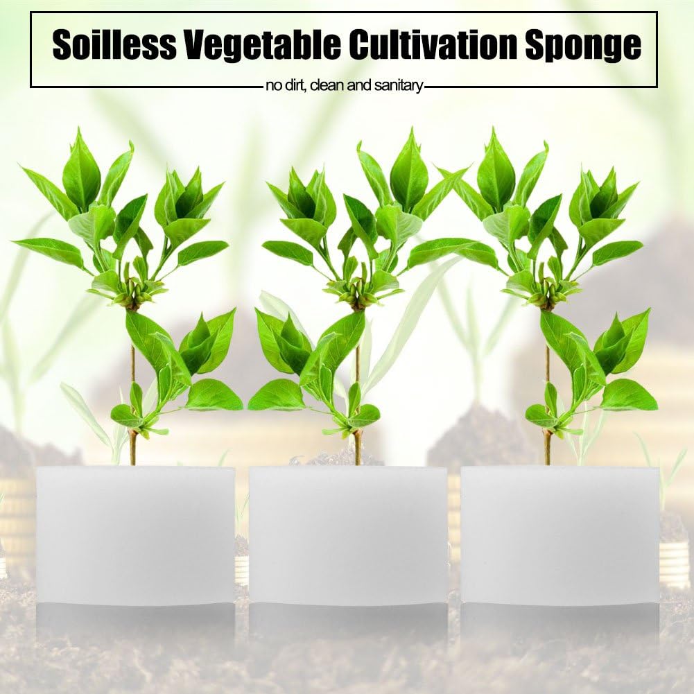 DEWIN Hydroponic Sponge, Hydroponic Planting Sponge Soilless Hydroponic Sponges Vegetable Cultivation System Planting Gardening Tool 50 Pcs/Bag (44 * 30mm)