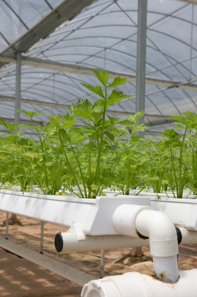 Hydroponic Garden Starter Kit Review Hydroponic Garden Starter Kit Review