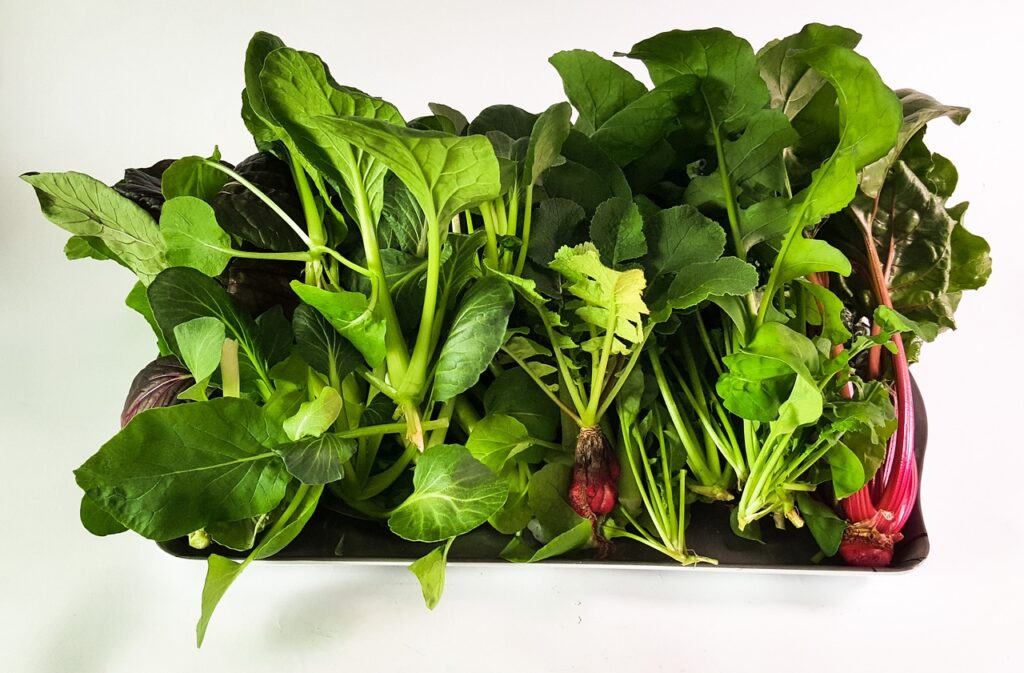 Hydroponic Vegetable Guide: An In-depth Review Hydroponic Vegetable Guide: An In-depth Review