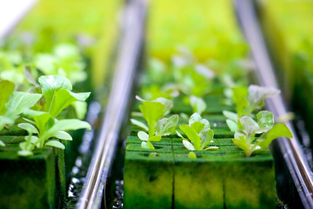 The Ultimate Vertical Hydroponic Systems Review