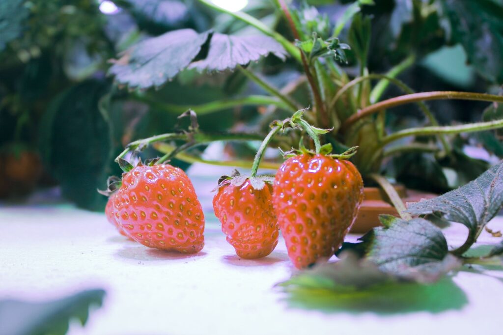 The Ultimate Vertical Hydroponic Systems Review