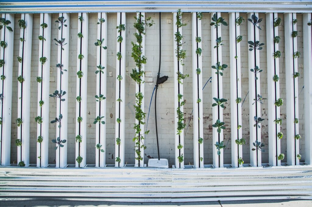 Vertical Hydroponic Garden Review