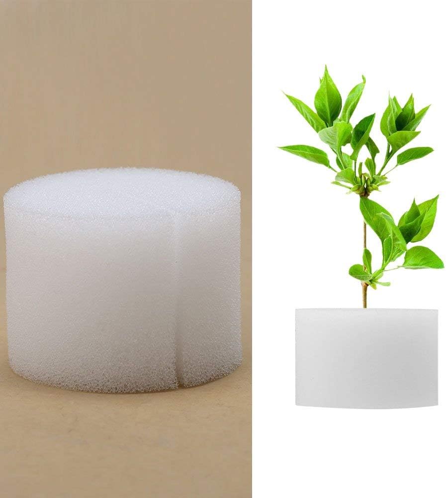 Zerodis 50 Pcs/Set Hydroponic Sponge Overground, Soilless Vegetable Growing System Plant Gardening Tool 3 Sizes Vegetable Pots Plant Growing Grass Growing J, 32mm / 1.3inch,White Zerodis 50 Pcs/Set Hydroponic Sponge Overground, Soilless Vegetable Growing System Plant Gardening Tool 3 Sizes Vegetable Pots Plant Growing Grass Growing J, 32mm / 1.3inch,White