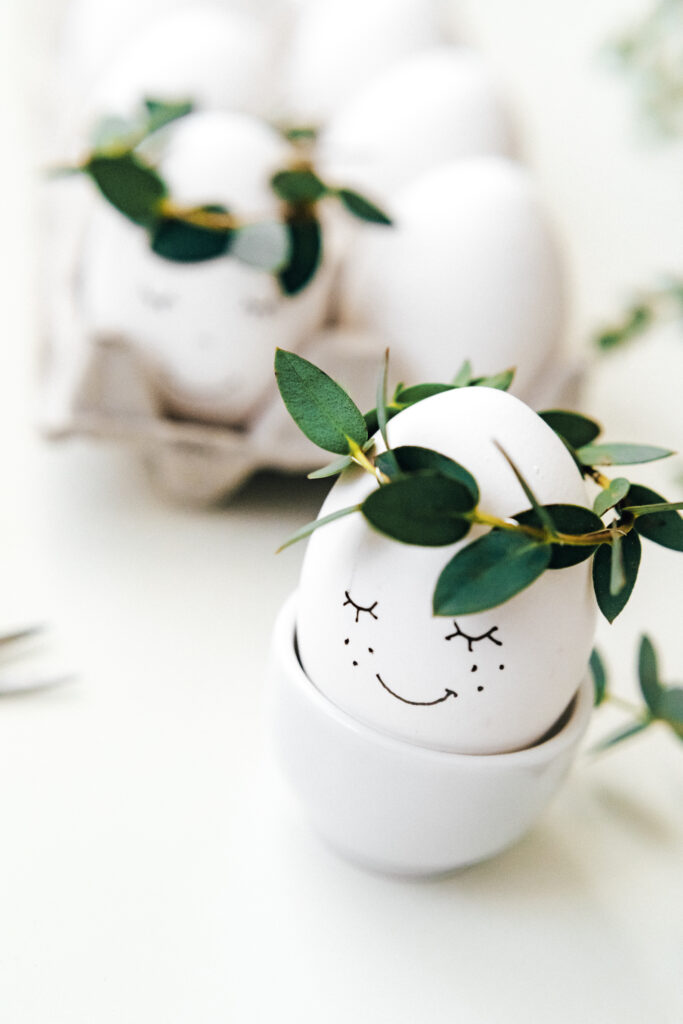 How to Start a DIY Hydroponic Gardening