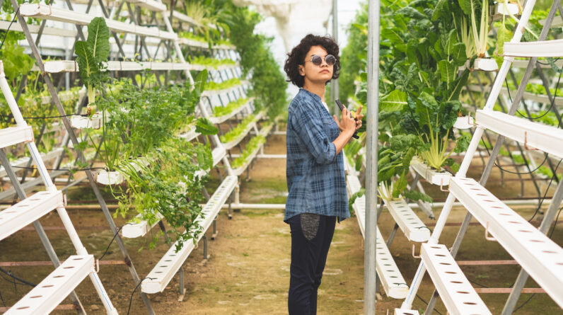 how-to-start-hydroponic-