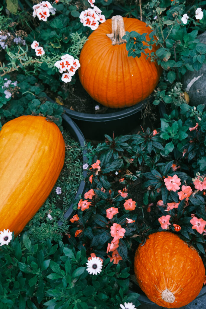 Is Hydroponic Gardening Healthy?