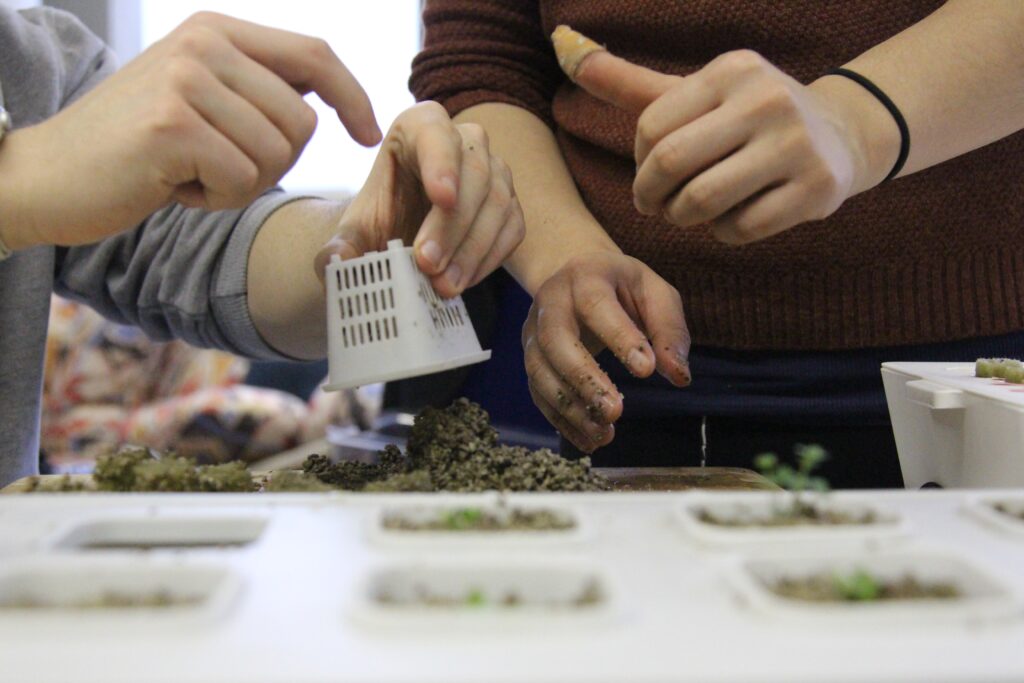 The Advantages of Hydroponic Gardening The Advantages of Hydroponic Gardening