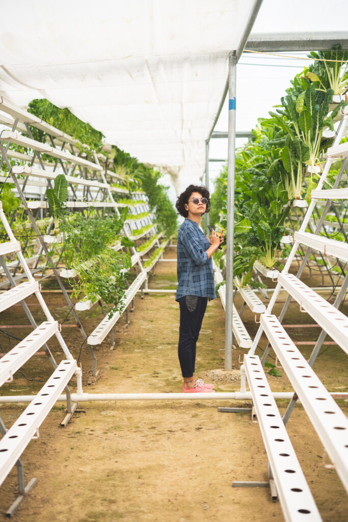 The Surprising Benefits of Hydroponic Gardening The Surprising Benefits of Hydroponic Gardening