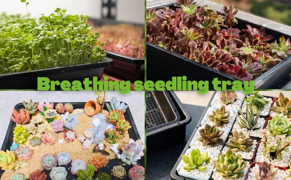 BeGrit Seed Starter Trays 5-Pack 15x12 inch Mesh Bottom Tray Plastic Plant Trays Garden Seedling Starter Kit for Plants,Microgreens,Soil Blocks,Wheatgrass,Hydroponic and Fodder Systems