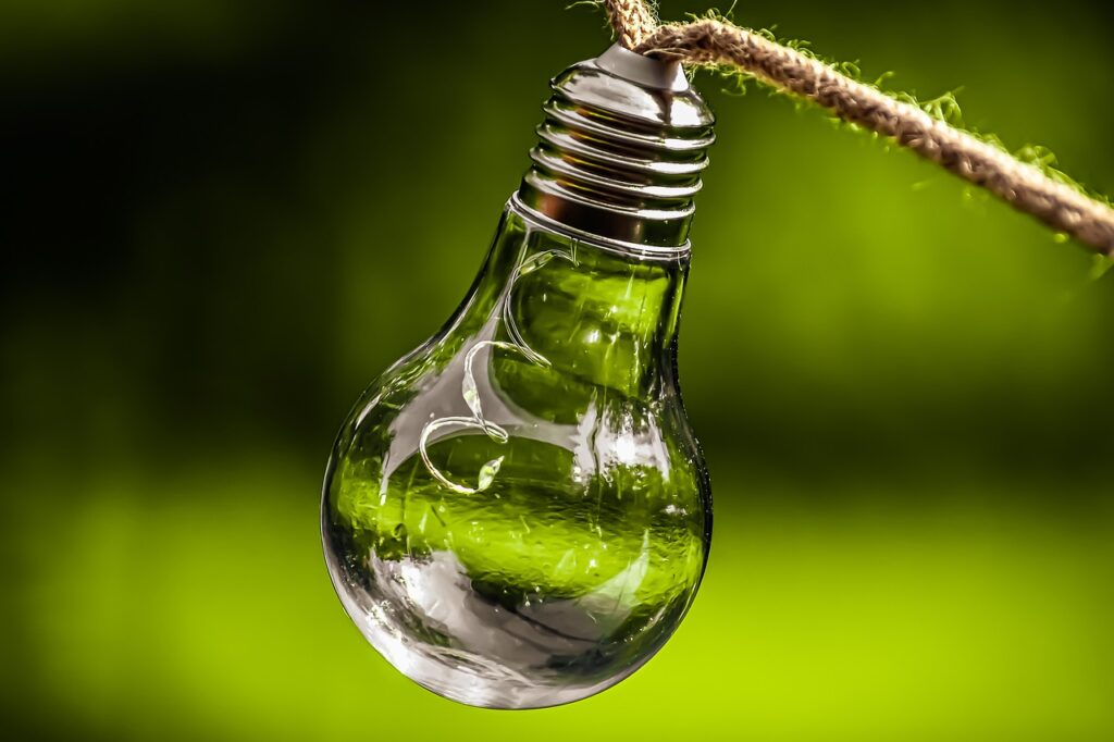 Building a Sustainable Future with Community-Supported Hydroponic Agriculture