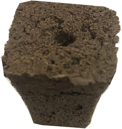 Gardening Growing System Cultivation Hydroponic Vegetable Tools Soil-less Sponge Patio Lawn Garden Vacuum Seeder (brown, One Size) Gardening Growing System Cultivation Hydroponic Vegetable Tools Soil-less Sponge Patio Lawn Garden Vacuum Seeder (brown, One Size)