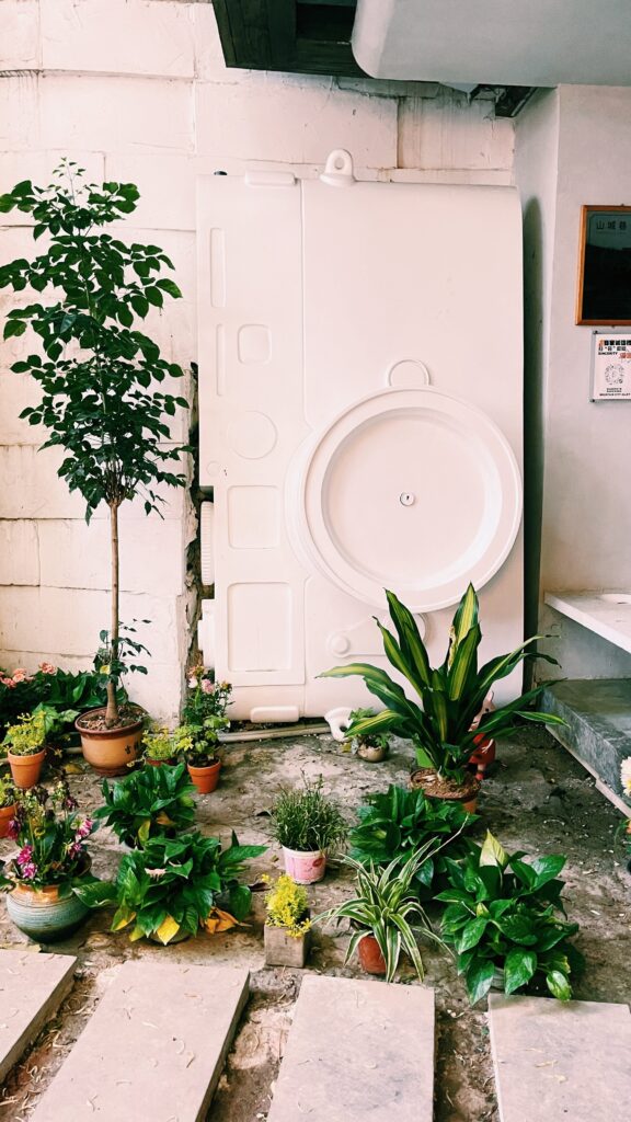 Hydroponic Gardening Tips: Enhance Your Harvest with These Tricks Hydroponic Gardening Tips: Enhance Your Harvest with These Tricks