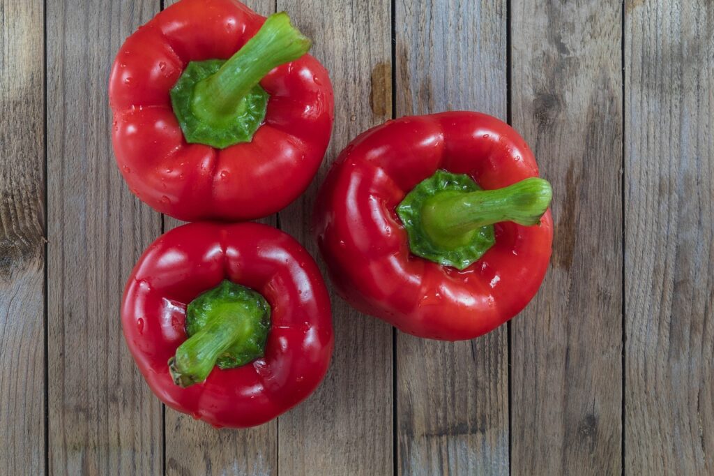 Revolutionary Innovations in Vertical Hydroponic Farming