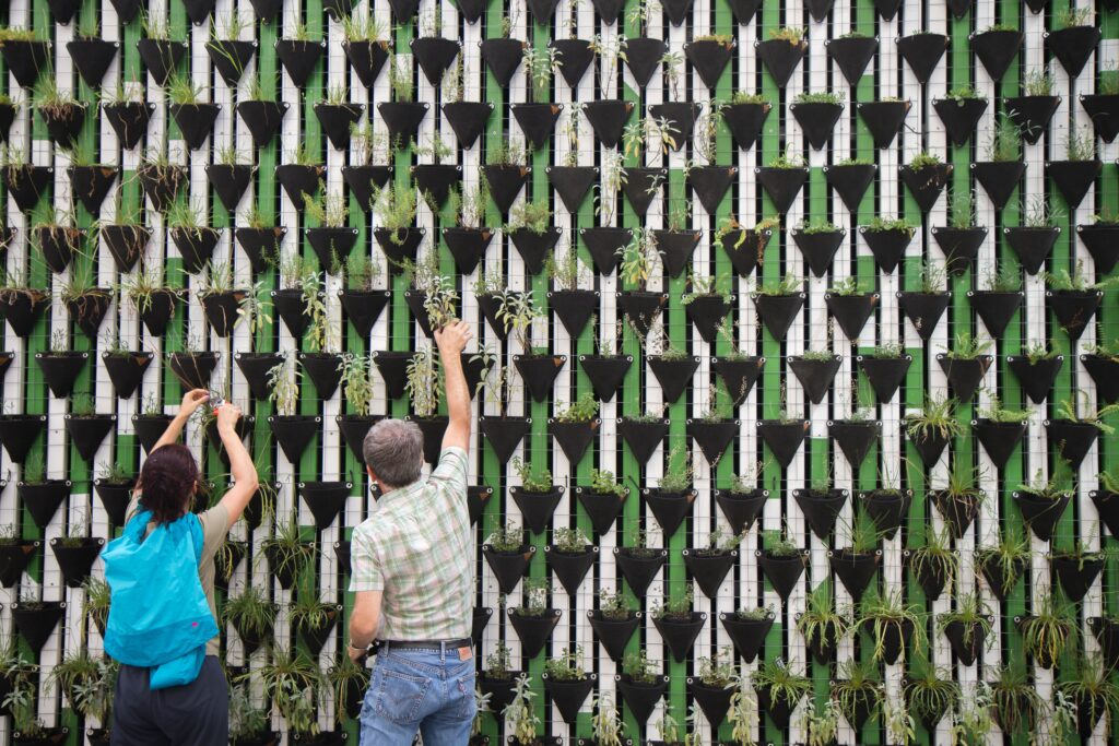 The Benefits of Flower Cultivation in Hydroponic Systems The Benefits of Flower Cultivation in Hydroponic Systems