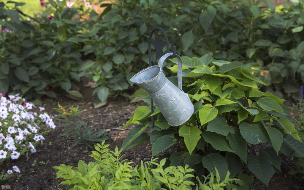 The Benefits of Organic Hydroponic Gardening The Benefits of Organic Hydroponic Gardening