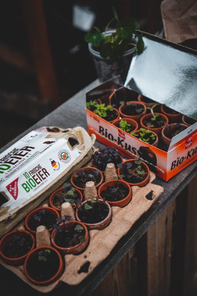 The Benefits of Organic Hydroponic Gardening The Benefits of Organic Hydroponic Gardening