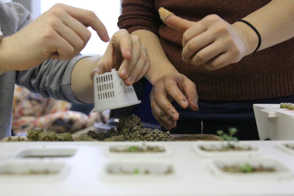 Top 10 Grow Lights for Indoor Hydroponics