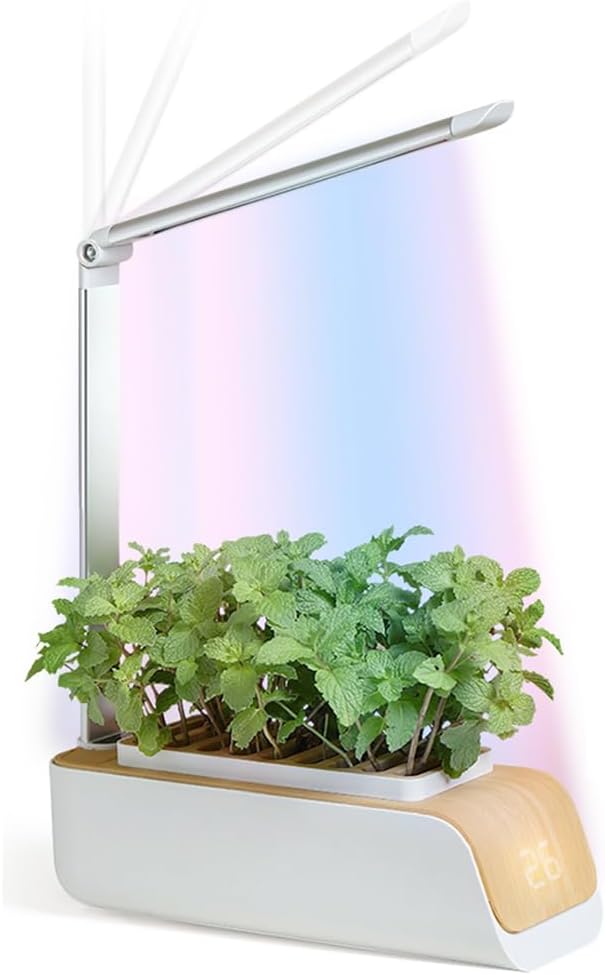 VACSAX Hydroponics Growing System, with Grow Light Support, Hydroponics Soilless or Soil Planting Automatic Germination Kit, Automatic Timer Germination Kits, for Home, Kitchen, Gardening VACSAX Hydroponics Growing System, with Grow Light Support, Hydroponics Soilless or Soil Planting Automatic Germination Kit, Automatic Timer Germination Kits, for Home, Kitchen, Gardening