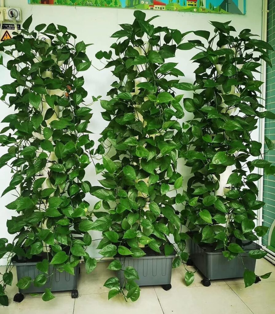 15 Floors 45 Holes Hydroponic Growing Kits, Hydroponics Growing System With Grow Light, Herb Garden Germination Kit, Smart Indoor Herb Garden Kit, Indoor Hydroponic Garden For Fruits, Flower Vegetab 15 Floors 45 Holes Hydroponic Growing Kits, Hydroponics Growing System With Grow Light, Herb Garden Germination Kit, Smart Indoor Herb Garden Kit, Indoor Hydroponic Garden For Fruits, Flower Vegetab