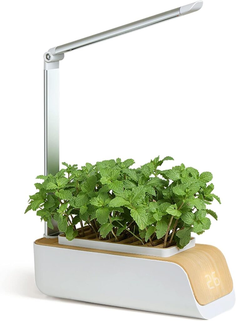 Adaskala Hydroponics Growing System, Indoor Herb Garden Kit with Grow Light, Smart Garden for Home and Kitchen, Indoor Plant Growing System, Herb Grower Vegetable Gardening System Adaskala Hydroponics Growing System, Indoor Herb Garden Kit with Grow Light, Smart Garden for Home and Kitchen, Indoor Plant Growing System, Herb Grower Vegetable Gardening System