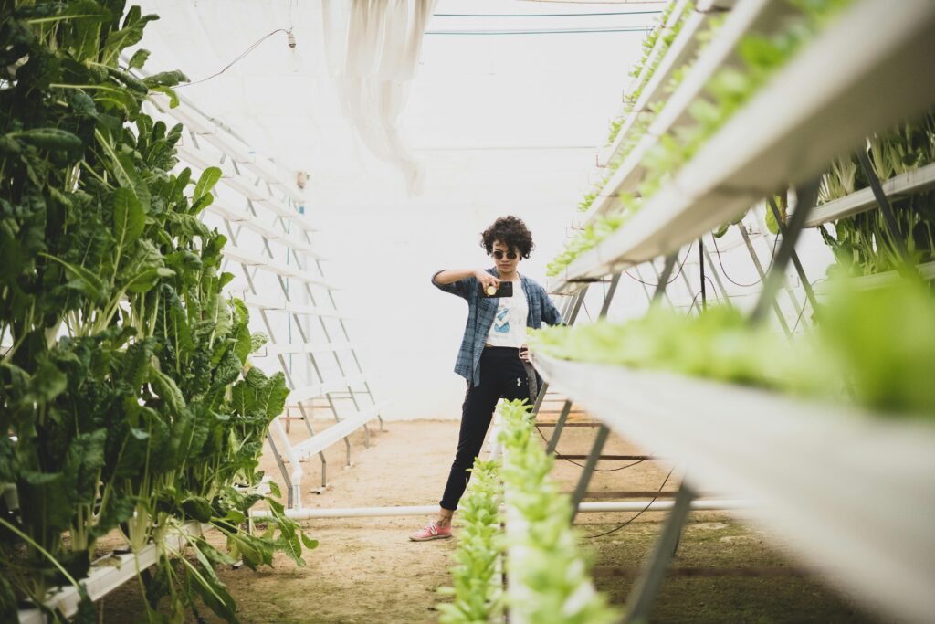 Best Practices for Growing Herbs Hydroponically at Home Best Practices for Growing Herbs Hydroponically at Home