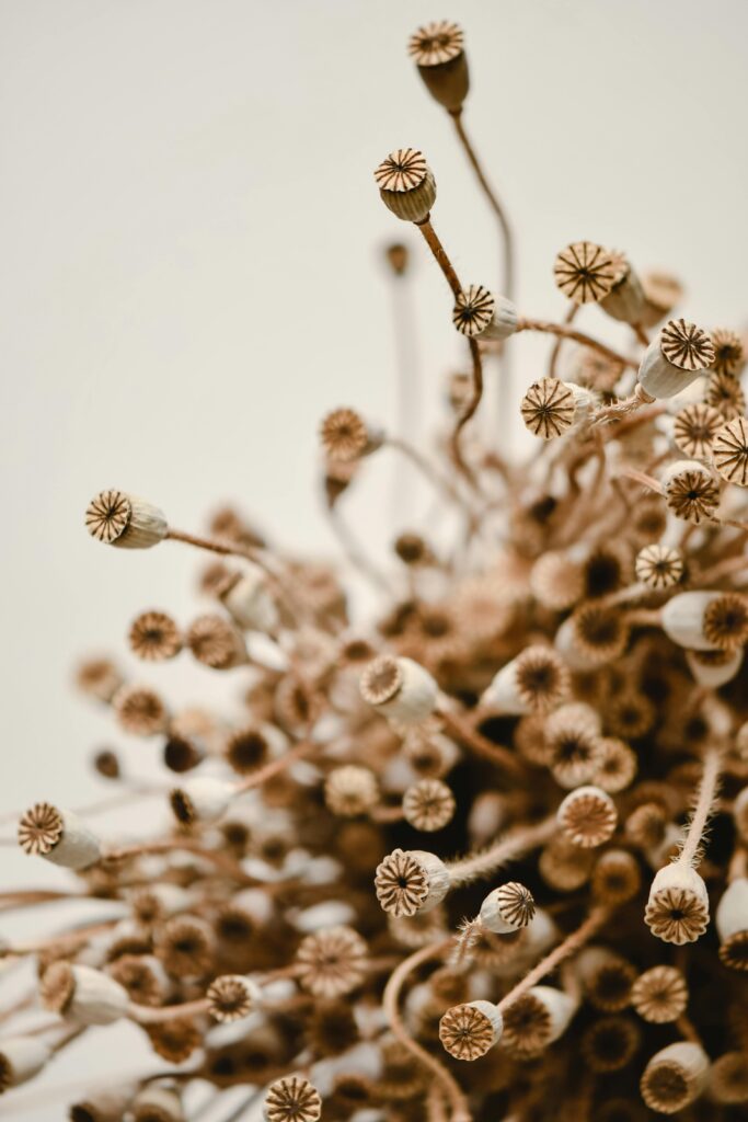 Creating Aquatic Beauty with Hydroponic Water Gardens