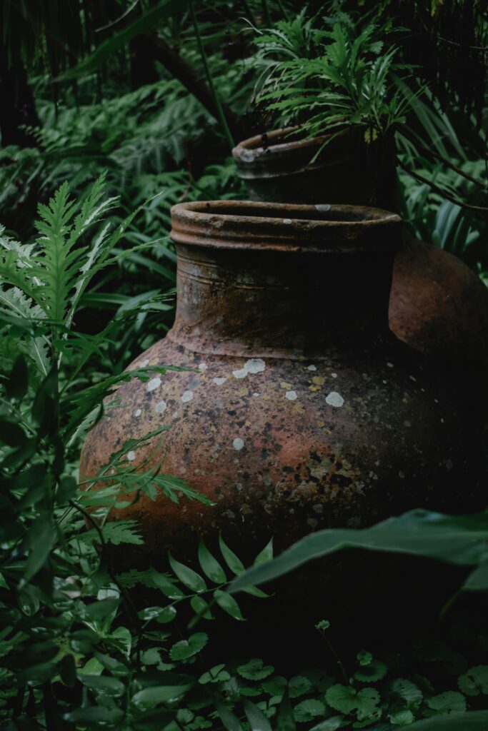 Creating Enchanting Miniature Worlds with Hydroponic Fairy Gardens Creating Enchanting Miniature Worlds with Hydroponic Fairy Gardens