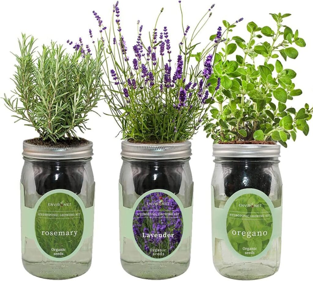 Environet Hydroponic Herb Growing Kit Set, Self-Watering Mason Jar Herb Garden Starter Kit Indoor, Grow Your Own Herbs from Seeds (Rosemary, Lavender, Oregano)