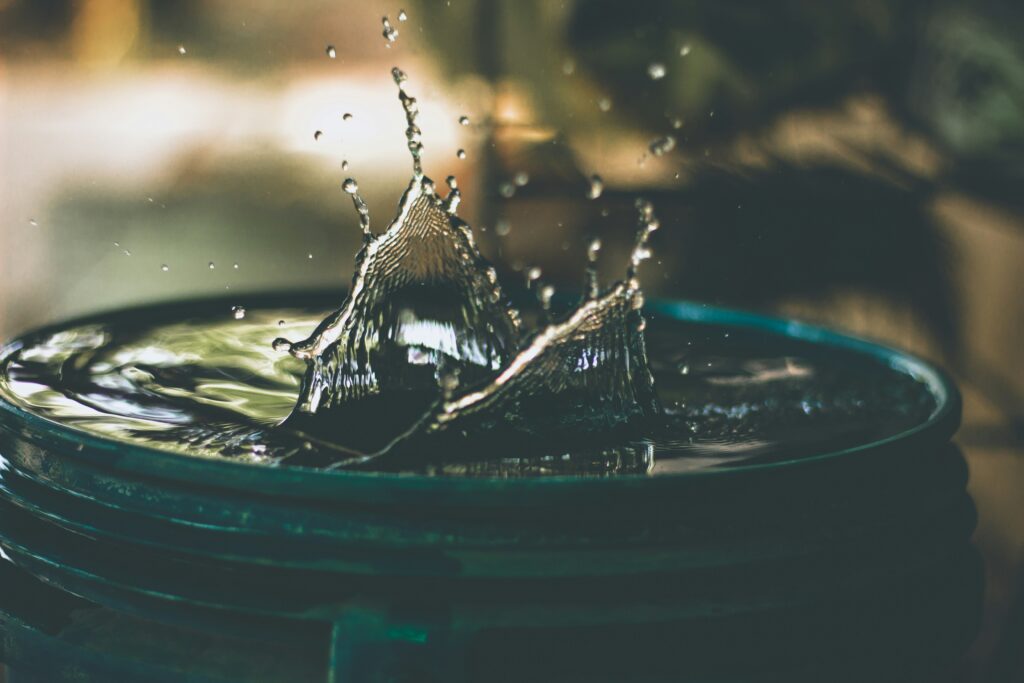 Exploring the Scientific Principles of Hydroponics