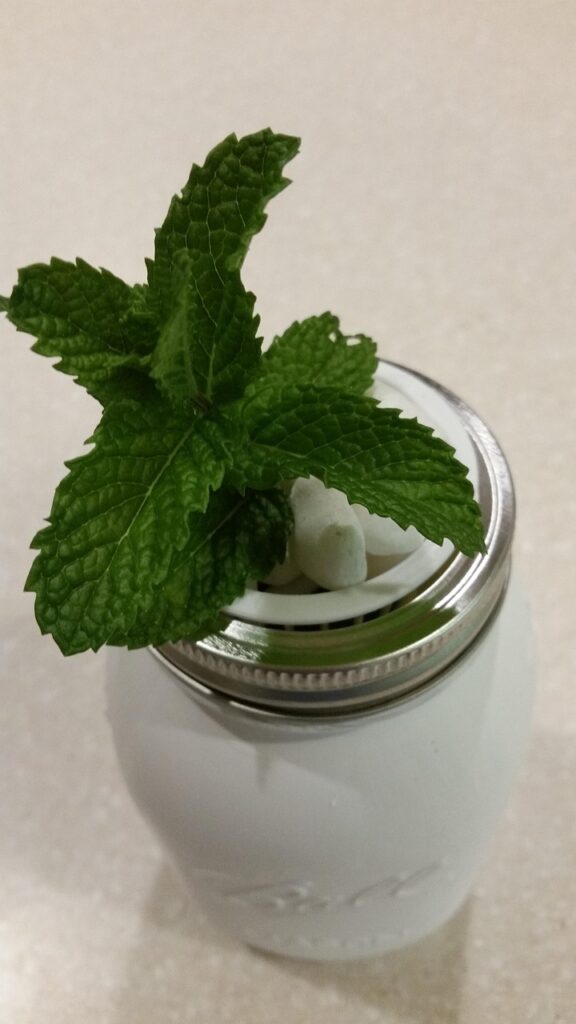 Growing Fresh Hydroponic Culinary Herbs in a Chefs Garden Growing Fresh Hydroponic Culinary Herbs in a Chefs Garden