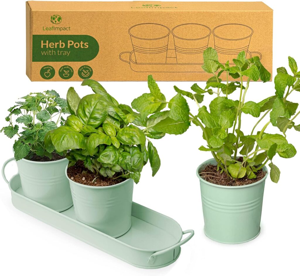 Herb Planter Indoor | Grow Fresh Herbs At Home | Herb Pots for Kitchen Windowsill | Kitchen Herb Garden | Indoor Herb Planter | Includes Drain Hole | Garden Pots for Basil, Mint, Parsley and More Herb Planter Indoor | Grow Fresh Herbs At Home | Herb Pots for Kitchen Windowsill | Kitchen Herb Garden | Indoor Herb Planter | Includes Drain Hole | Garden Pots for Basil, Mint, Parsley and More