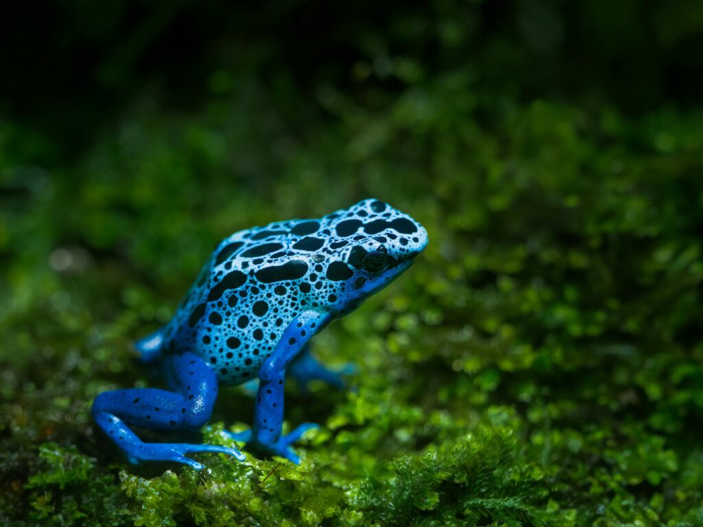 How to Grow Hydroponic Basil at Home