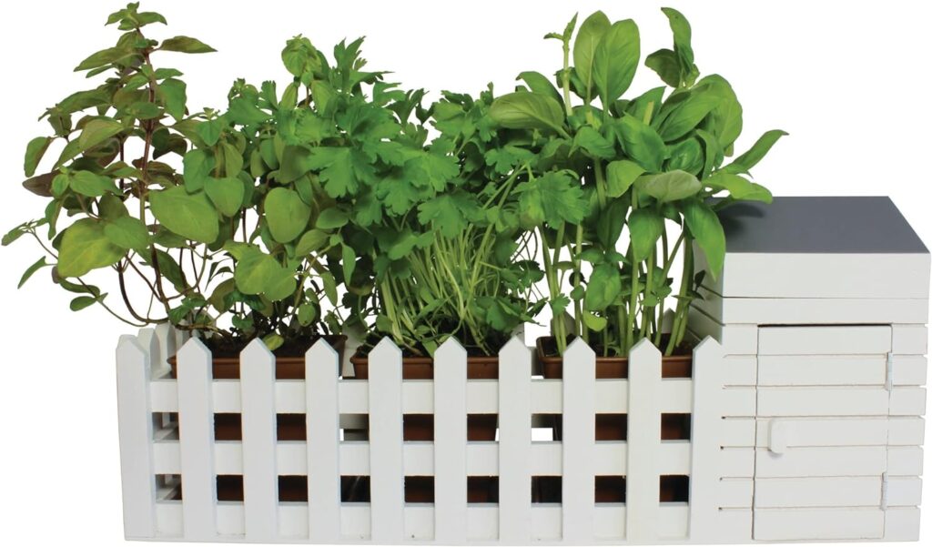 Oliphant Indoor Allotment Gift Set Herb Garden Oliphant Indoor Allotment Gift Set Herb Garden