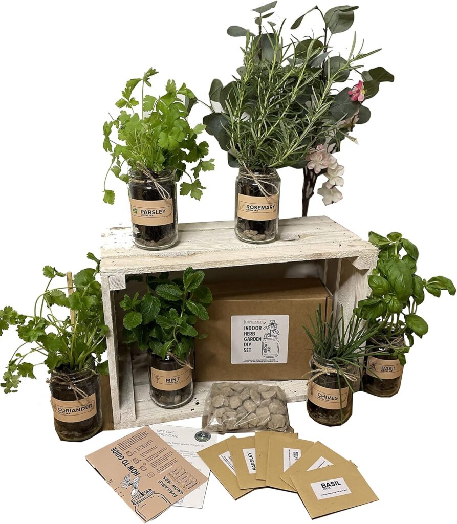 Set of 3: Indoor Herb Garden in Jars Rustic Grow Your Own Kit - Herb Planter and Gifts for Women or Men (Mint, Basil, Coriander) Set of 3: Indoor Herb Garden in Jars Rustic Grow Your Own Kit - Herb Planter and Gifts for Women or Men (Mint, Basil, Coriander)