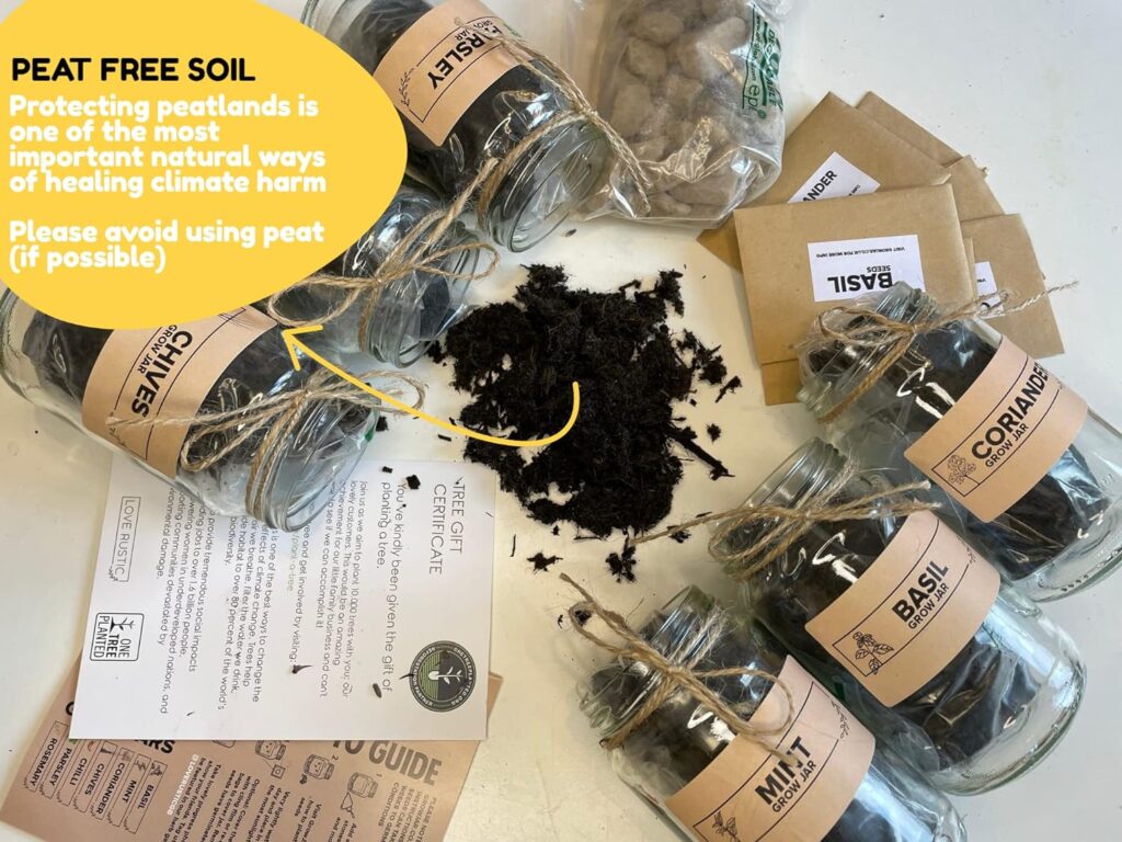 Set of 3: Indoor Herb Garden in Jars Rustic Grow Your Own Kit - Herb Planter and Gifts for Women or Men (Mint, Basil, Coriander) Set of 3: Indoor Herb Garden in Jars Rustic Grow Your Own Kit - Herb Planter and Gifts for Women or Men (Mint, Basil, Coriander)
