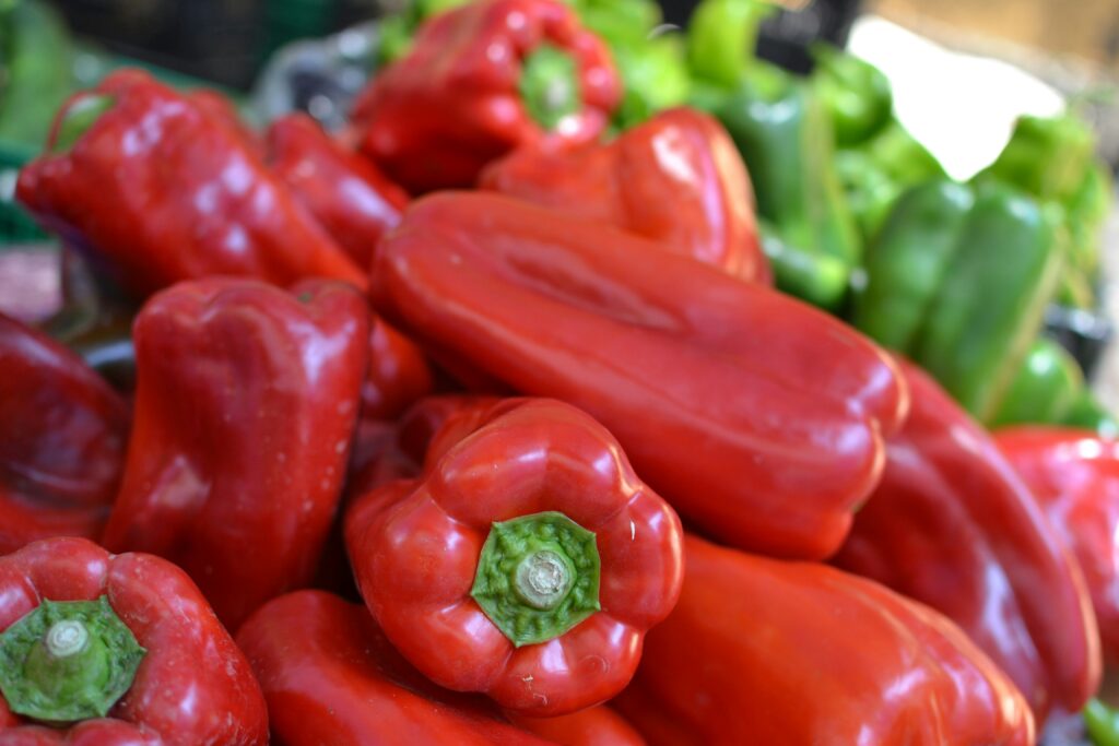 The Ultimate Guide to Growing Hydroponic Peppers The Ultimate Guide to Growing Hydroponic Peppers