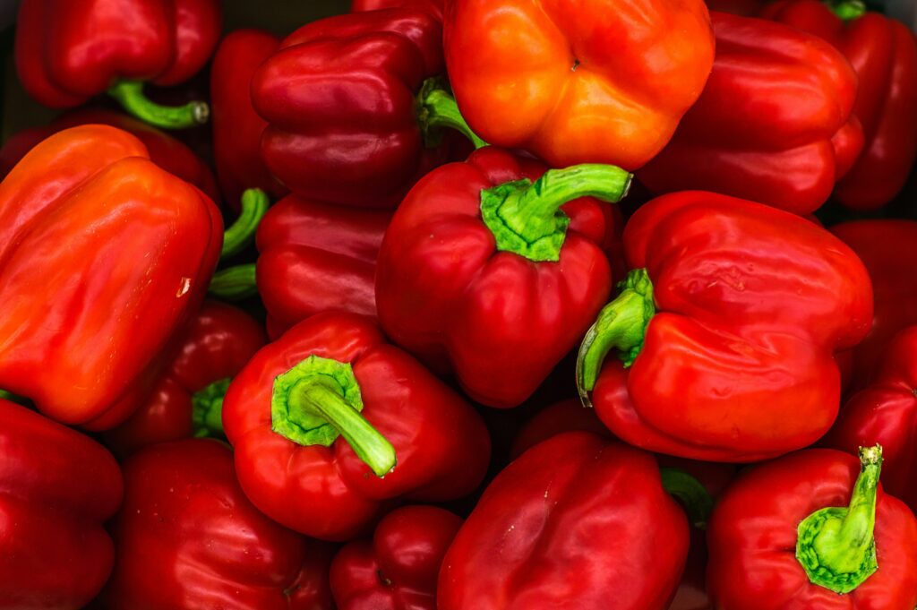 The Ultimate Guide to Growing Hydroponic Peppers The Ultimate Guide to Growing Hydroponic Peppers
